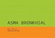 Asma Bronkhial
