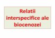 PROIECT Relatii Interspecifice Ale Biocenozei
