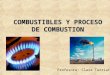 Combustibles y Procesos de Combustión 2012-2