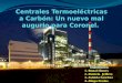 Centrales Termoeléctricas a Carbón (2)