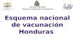 05 Esquema Nacional de Vacunación 2011