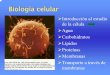 AA-Intrducción Biología Celular