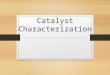 3. Catalyst Characterization