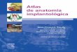Atlas de Anatomía Implantológica. Jean Francois Gaudi