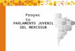Presentacion Parlamento Juvenil 03-06-14