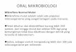 Oral Mikrobiologi