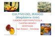 cultivo Mango Puerco o Hilaza Magdalena River (1)