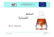 Chemical Risks (Papaleo) - Arabic