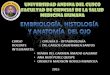 Embriología, Histología y Anatomía Del Ojo
