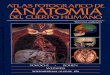 Yokoichi Atlas Fotográfico de Anatomia Humana