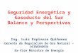 Seguridad Energetica y Masificacion Del Gas - Ing. Luis Esp