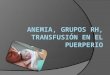 Anemia, Grupos RH, Transfusión en El Pp