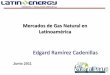 Mercados de Gas Natural en Latinoamerica