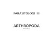 Parasitologi III Arthropoda