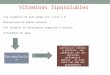 Vitaminas liposolubles