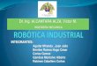 Robotica Industrial Unt