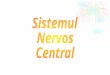 sn central.ppt