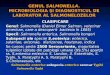 Genul Salmonella