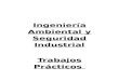 Ingeniería Ambiental y Seguridad Industrial