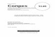 CONPES 3149 PEP 2002 - 2003