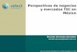 Perspectivas Negocios -Mercados TIC 2015