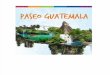Guatemala y Sus Raices