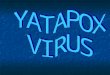 Virologia Virus