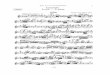 Verhey Flute Concerto Op. 43 - Flute