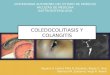Coledocolitiasis y Colangitis2