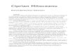 Ciprian Mitoceanu-Amendamentul Dawson 07