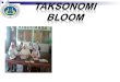 TAKSONOMI-BLOOM PPT OKE.ppt