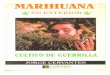 Marihuana en Exterior Cultivo de Guerrilla