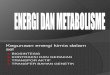 Energi Dan Metabolisme