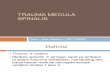 Trauma Medulla Spinalis 2003
