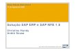 Workshop NF-e SAP R3 11082008