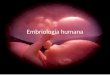Embriología humana.pptx