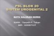 Slide Pbl Blok 20- Yorenth