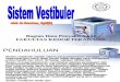 Sistem Vestibuler (Skill's Lab)