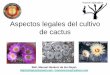 Aspecto Legal Cultivo Cactus