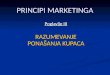Principi Marketinga III