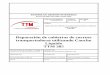 Procedimiento Aplicacion TTM 385 23.09.2013.pdf