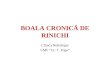 Boala Cronica de Rinichi - 2013 Curs