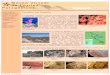 Corales en Zapala - Museo Virtual de Fósiles Patagónicos