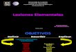 Lesiones Elementales presentaciones.pdf