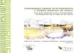 Manual Paleontología Caminando 2014.pdf