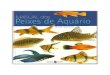 Manual Dos Peixes de Aquário - David Goodwin