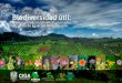 Biodiversidad útil: plantas e insectos benéficos asociados al cultivo de aguacate en Michoacán