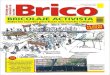 Revista Brico: Bricolaje para la Liberación de las Artes. # 1 , 2009. Resistencia Chaco, Argentina