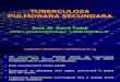 2 TBC SECUNDARA Decembrie 2013 (2) (Alina Maria's Conflicted Copy 2014-02-14)
