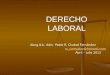 Diapositivas Derecho Individual Del Trabajo (1)